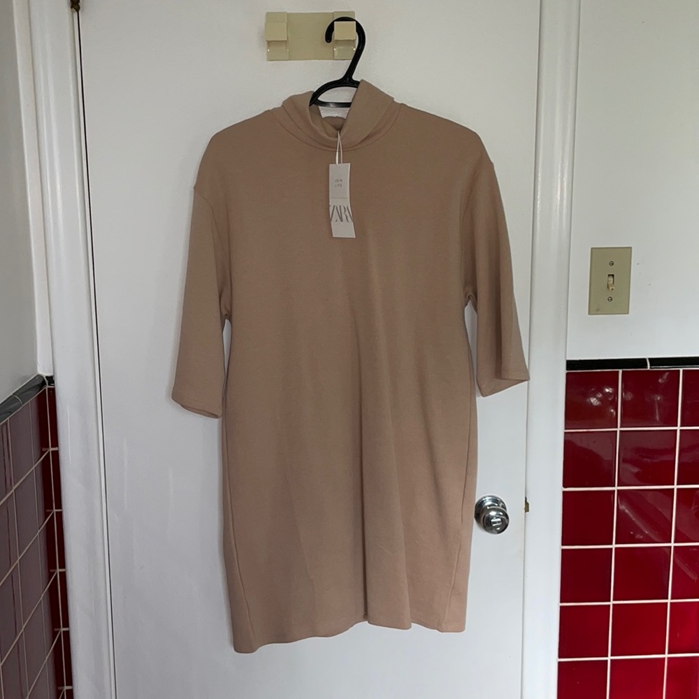 Zara Basic Turtleneck Dress